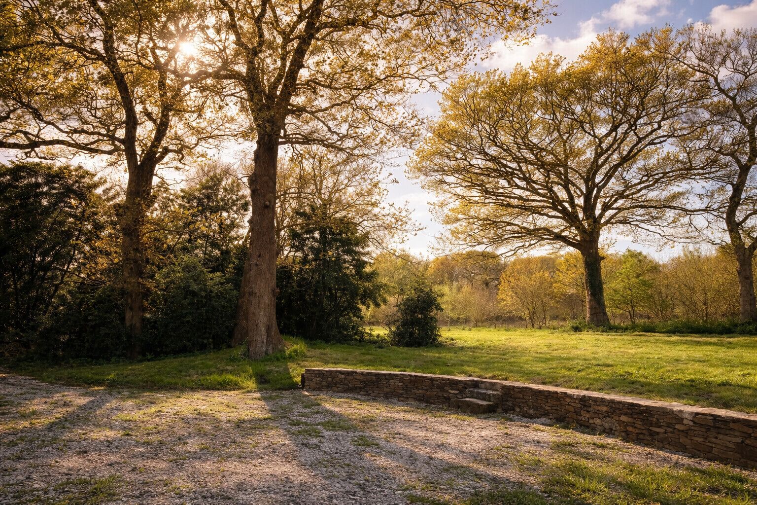 Ein Steinweg führt durch einen Park mit Bäumen und einer Rasenfläche.