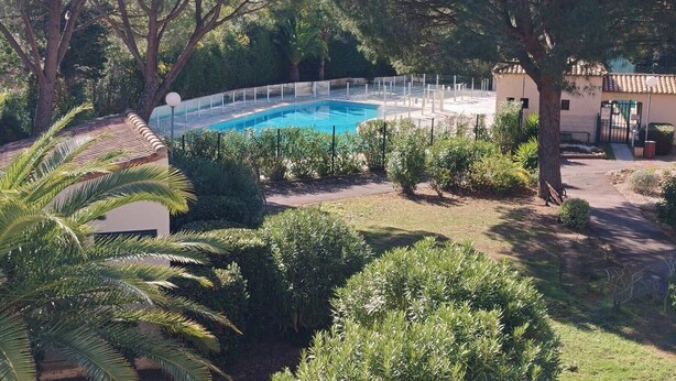Uma piscina rodeada por vegetação exuberante, um pequeno edifício e um espaço pavimentado.