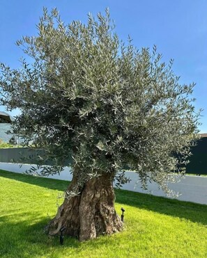 Property grounds - Vinea Rural Resort (Trentino-Alto Adige)