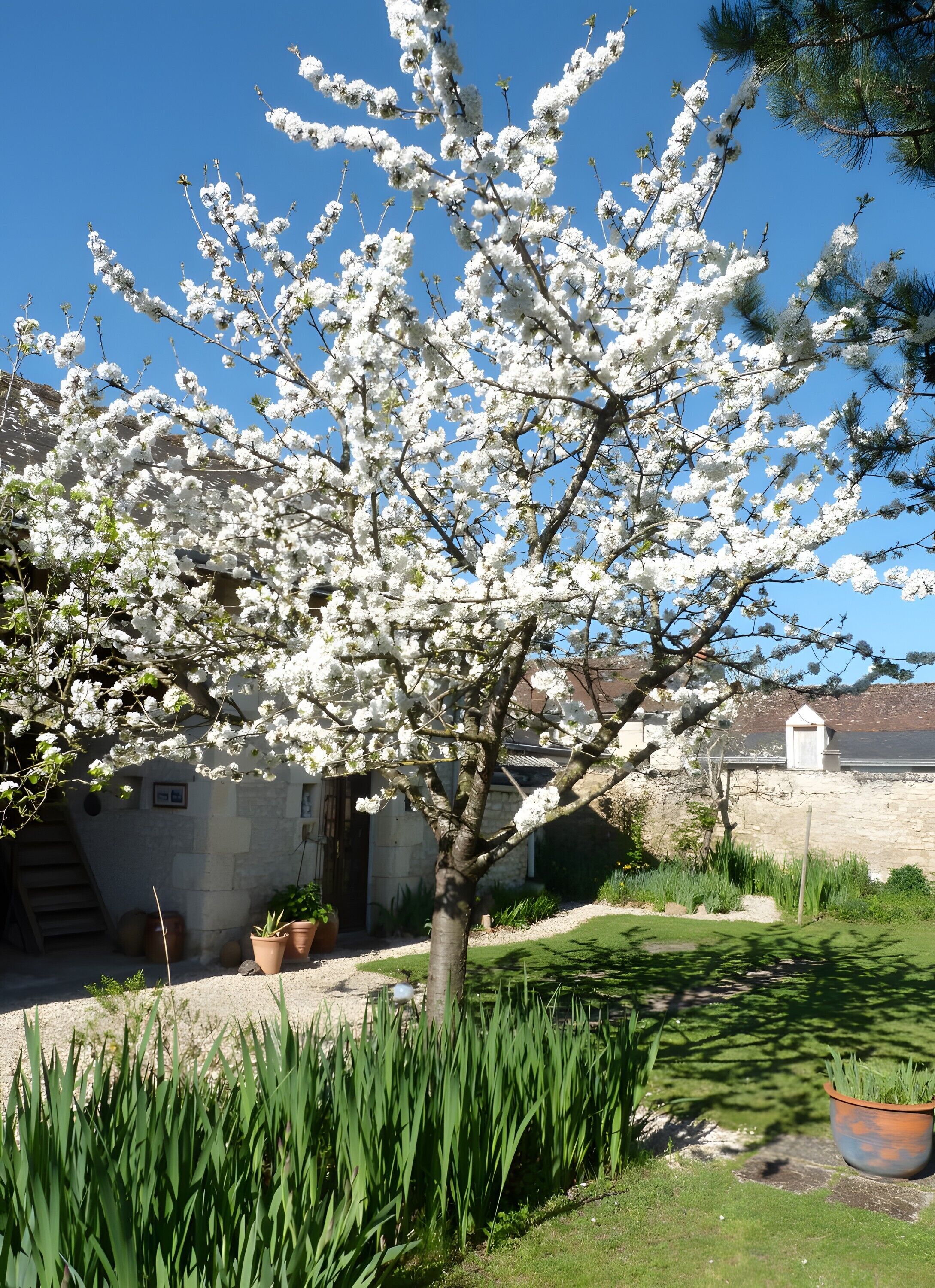 Jardines del alojamiento