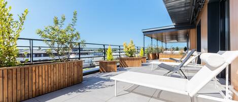 Terras