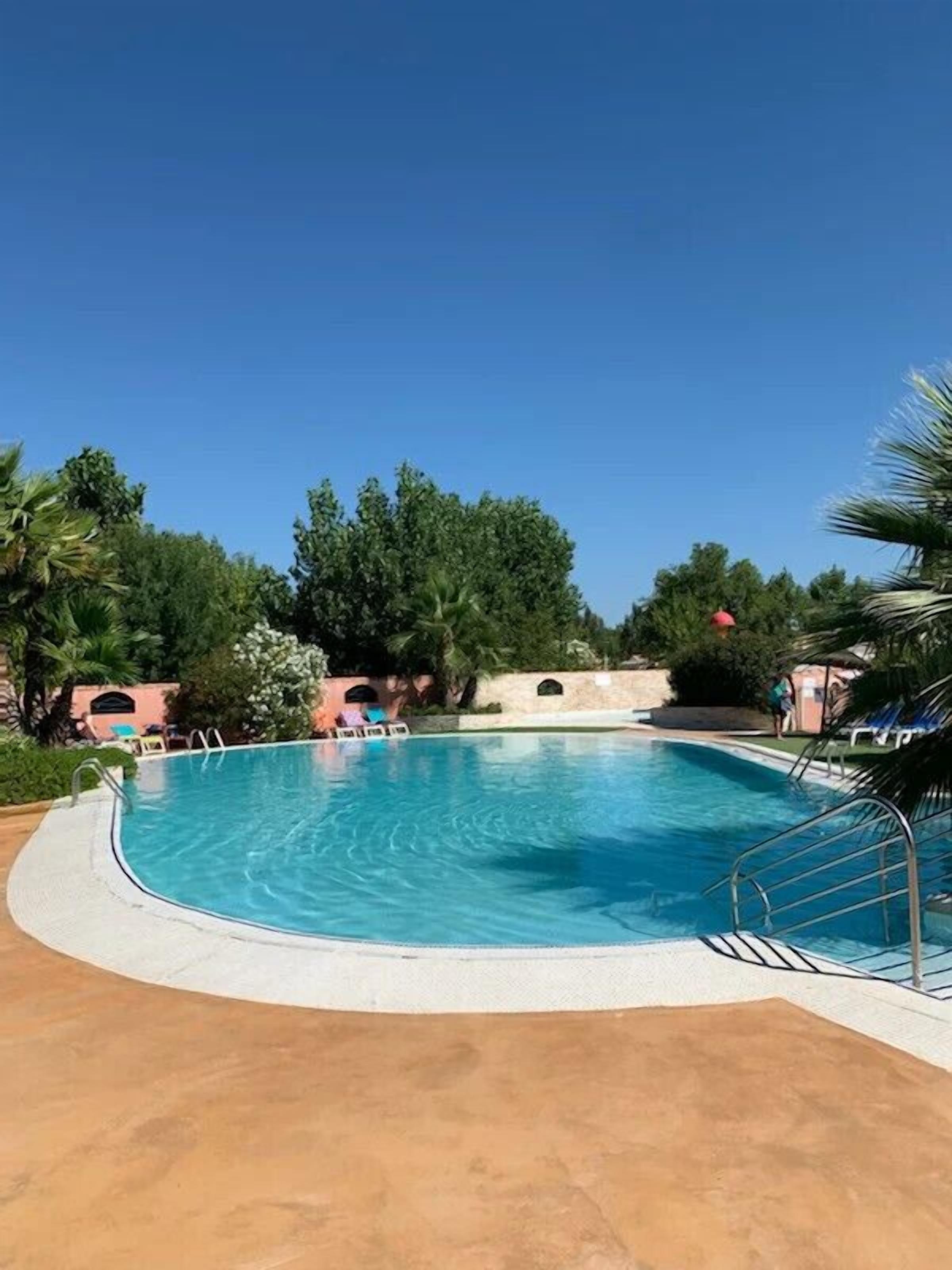 En pool med en böjd kant, omgiven av palmer och en klarblå himmel.
