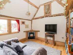 Uma sala de estar aconchegante com lareira, televisão, sofá e estante de livros.