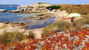 A coastal landscape with rocky terrain, clear water, and vegetation. - Air-conditioned Studio 'Sant Ambrogggio' – Terrace with Sea View and Sunset (Lumio)