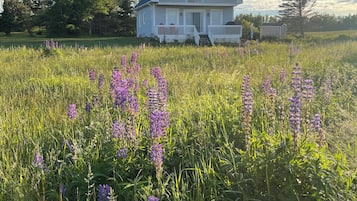 Ulkopuoli