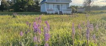 Ocean Front Cozy Cottage Overlooking Prince Edward Island.