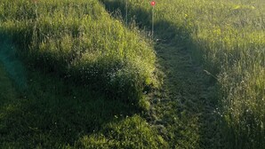 Una casa con fachada blanca y un balcón, rodeada por un campo cubierto de césped con marcadores rojos.