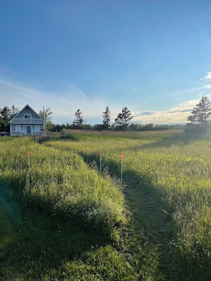 Terrain de l’hébergement