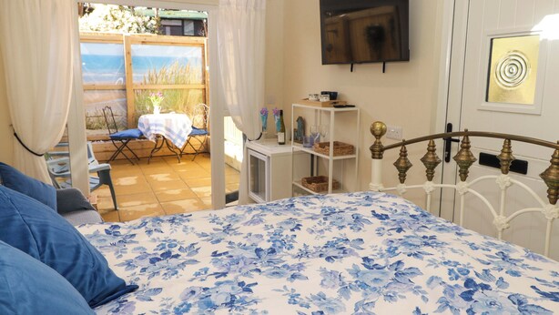 A bedroom with a bed, a TV, a window, and a view of the outdoors.