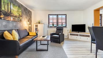 Fernseher, Stereoanlage
