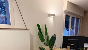 A dining area with a round table, four chairs, a potted plant, a TV, and a window.