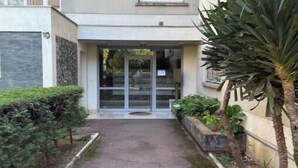 A narrow pathway leading to a building entrance with a glass door, surrounded by greenery and a palm tree.