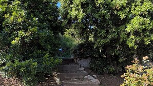 Una escalera de piedra rodeada de abundante vegetación.