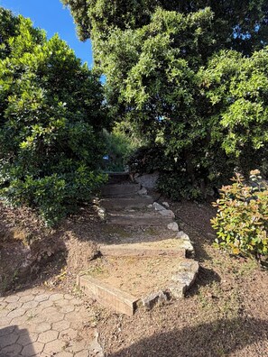 Eine steinerne Treppe, umgeben von dichtem Grün.