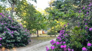Un sentiero sterrato che si snoda attraverso un giardino ricco di siepi e alberi.
