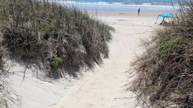 A sandy beach path leading to the ocean with sparse vegetation on either side.