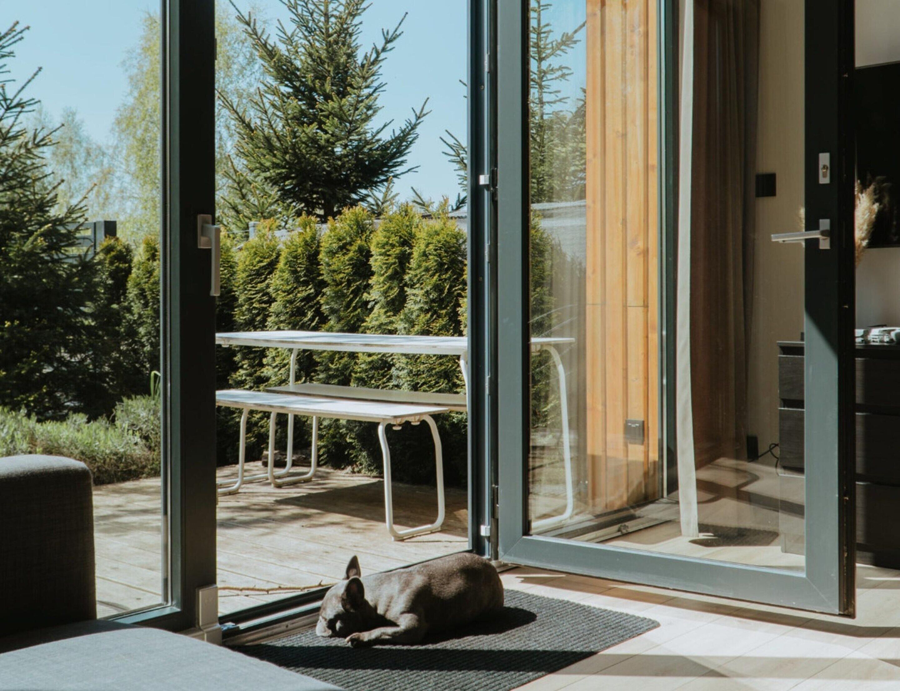 A dog lying on a mat inside a room with a glass door leading to an outdoor area with a bench and trees.