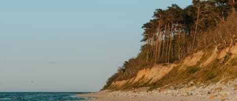 House | View from property