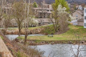 A residential area with a river, trees, and houses. - Branson Pond-view minutes to SDC & Lakes (Branson)
