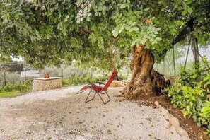 Property grounds - Cozy cottage with large garden in Avola, just 5 min walk from the sea (Gallina)