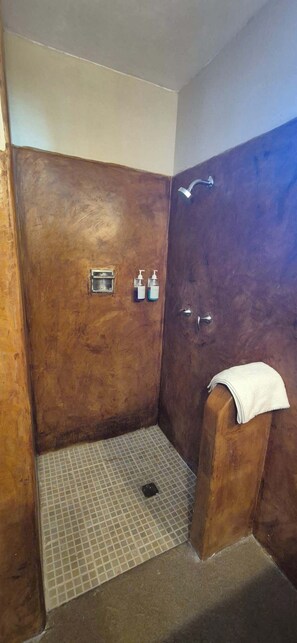 Shower, shampoo - SS 5B Cabaña rustica frente al malecón de La Paz (La Paz)