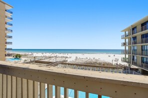 Condo, 1 cama Queen size y sofá cama (Gulf Village 207) | Áreas de la propiedad