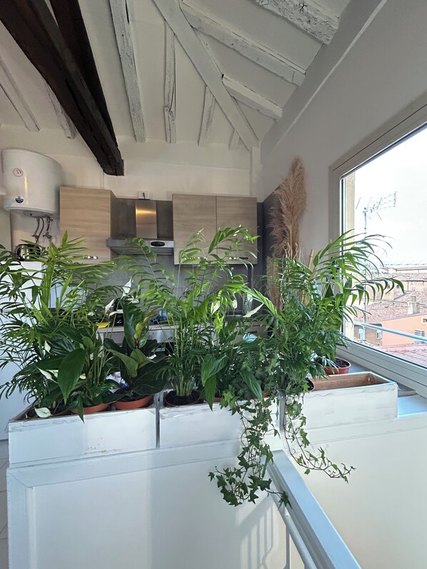 Een moderne keuken met witte kastjes, een ingebouwde kookplaat en een raam met uitzicht op een stadslandschap.