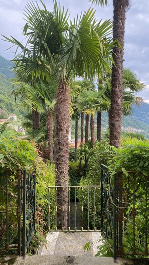 Property grounds - Stunning Lake Maggiore Villa, pool and panoramic views, timeless Italian charm (Gonte)