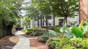 Terrein van de accommodatie