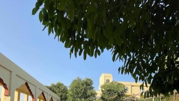 A poolside view with a person sitting and a dog nearby. - Hotel Pushkar Heritage (Pushkar)
