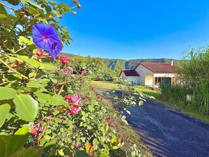 Property grounds - Villa Fanir, Nature, Calm and Mountain View (La Plaine-des-Palmistes)