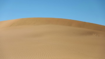 A desert landscape with sand dunes under a clear sky.