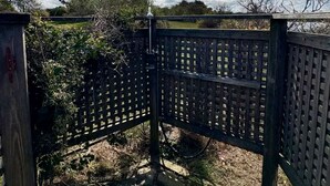Une porte en bois munie d’un loquet métallique, entourée de végétation et bordée d’un chemin de pierres.