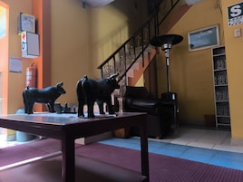 Una habitación con una escalera, una mesa con figuras de animales, un extintor y un estante con vasos.