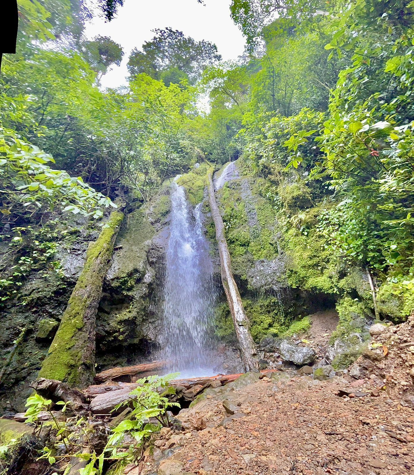 A waterfall in a forested area with rocky terrain and dense greenery.