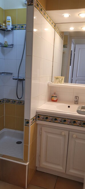 Hair dryer, toilet paper - Les Restanques du Golfe de St Tropez Les arums 4 people (Grimaud)