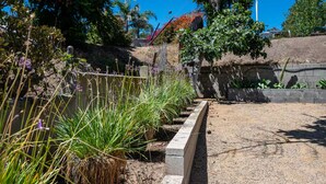 Un giardino con diverse piante e un muro in pietra.