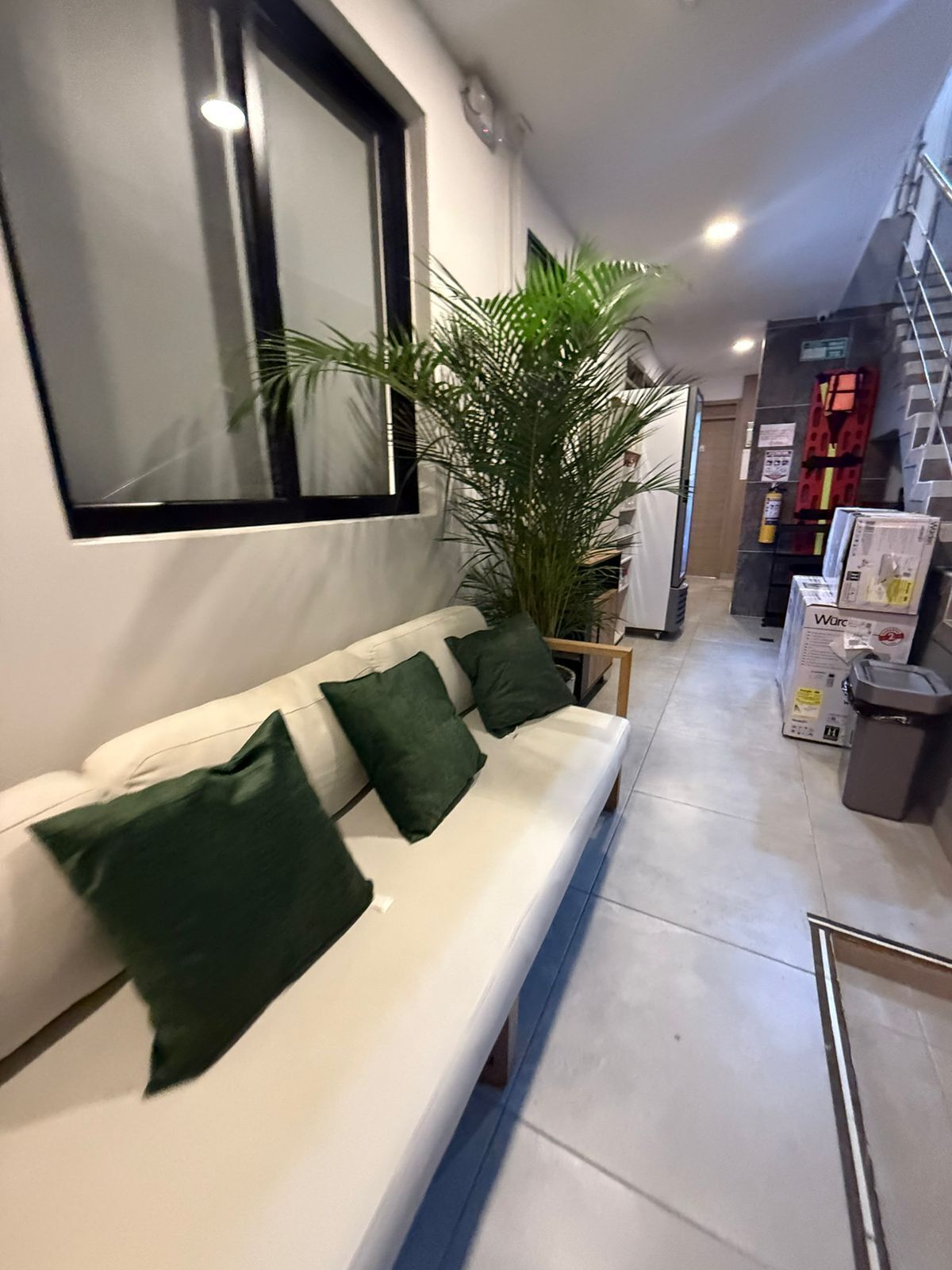A white sofa with green cushions, a large potted plant, a mirror, and a staircase leading to another area.