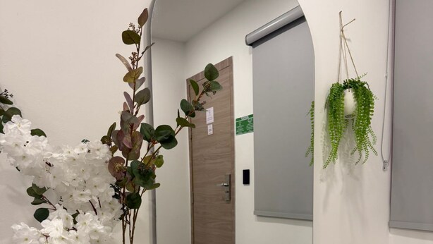 Un pasillo con un espejo, un tapete blanco y mullido, un taburete de madera con un florero y una planta colgante.