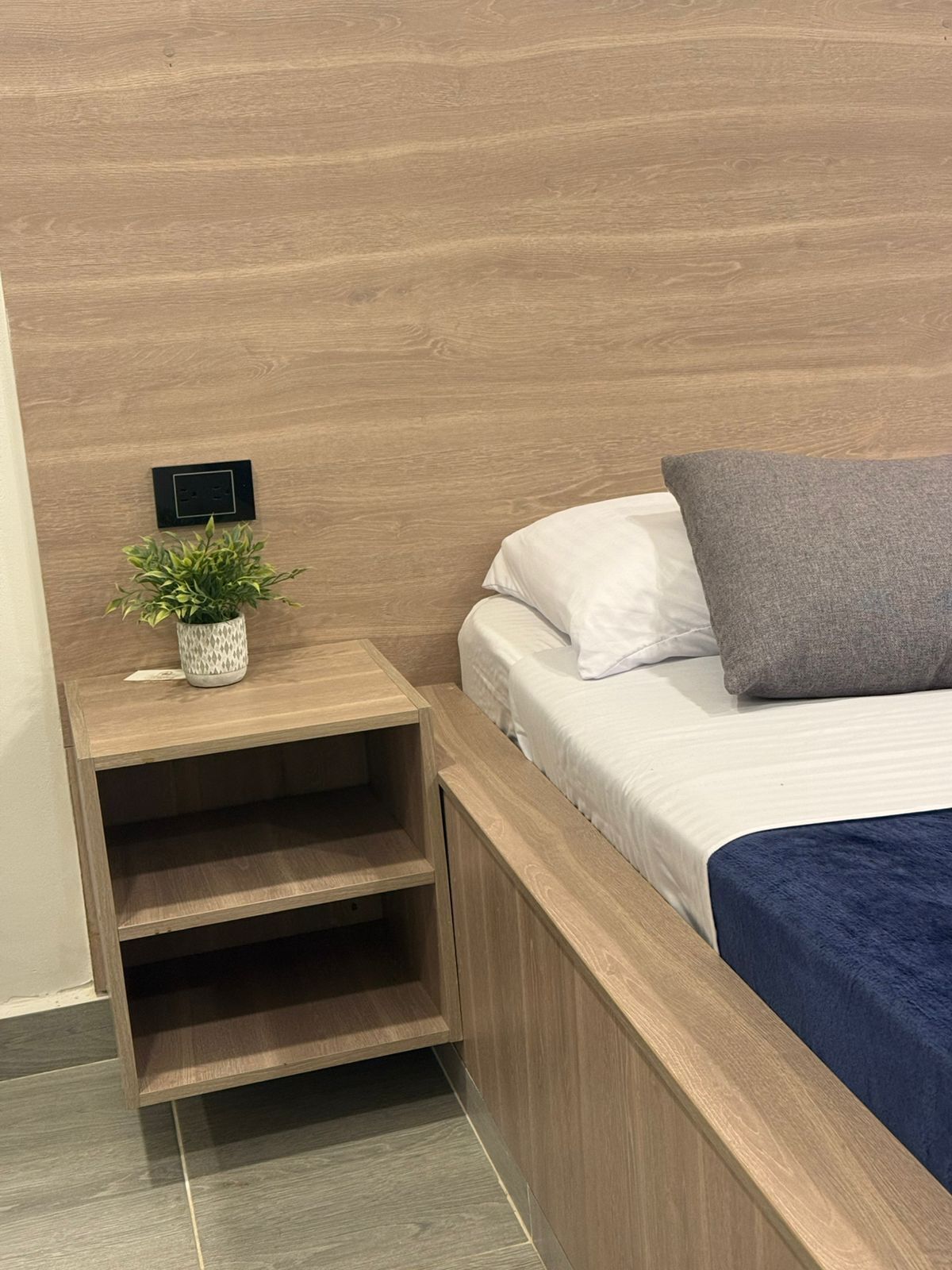 A bed with a headboard, a bedside table with a plant, and a power outlet.