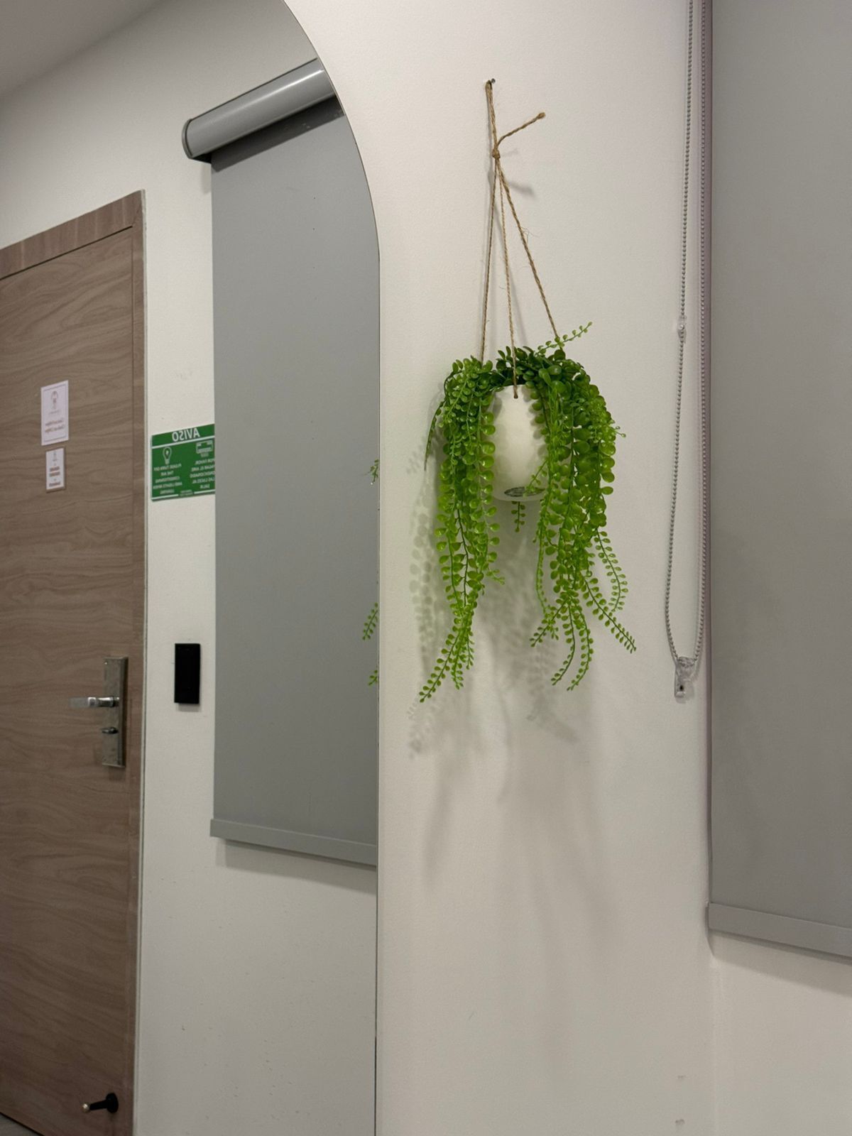 Una habitación con puerta de madera, pared blanca y planta colgante de hojas verdes.