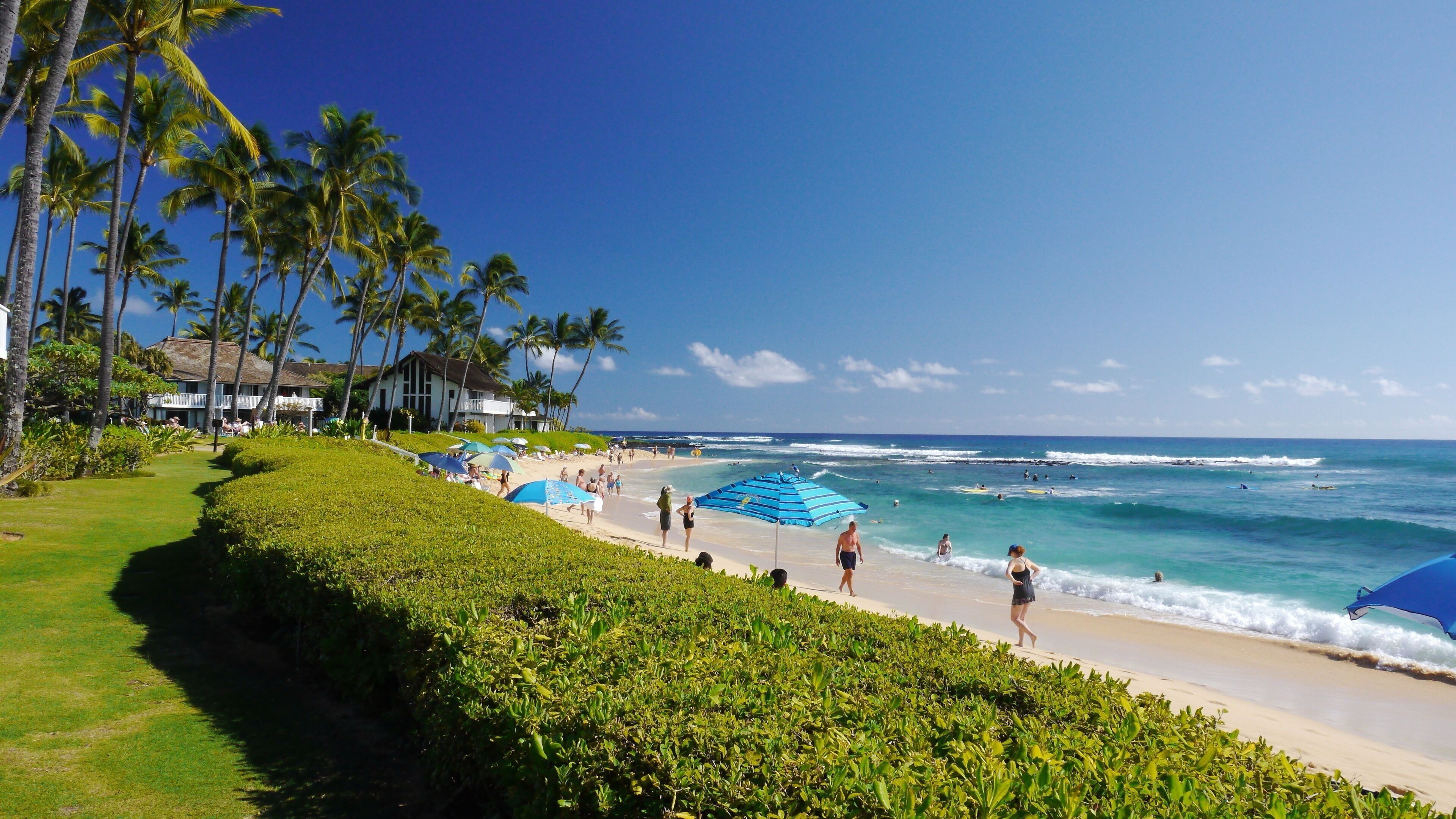 Playa en los alrededores, camastros y toallas de playa 