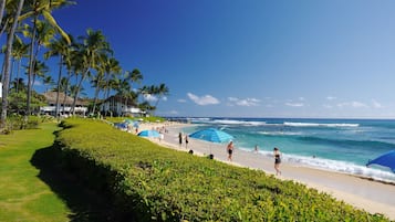 Playa en los alrededores, camastros y toallas de playa