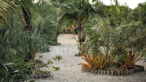 A pathway through a garden with various plants and a wooden bench in the distance. - Pousada Colmeia (Santa Cruz Cabrália)