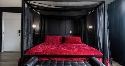 Lovely 1-bedroom studio with AC in vibrant Phoenix