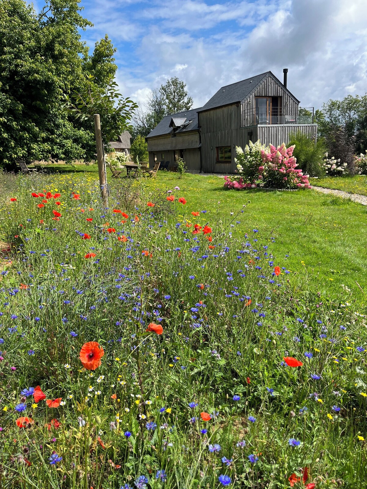 Bild für Gastgeberprofil
