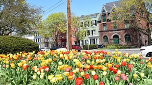 Eine Straße mit bunten Tulpen, ein Ziegelgebäude mit grünen Fensterläden und geparkten Autos.