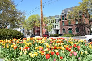 Property grounds - Walk to HWS, Downtown & Seneca Lake - Chic Stylish Flat (Geneva)