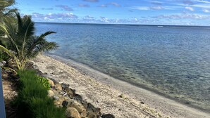 Una playa con agua cristalina, una costa rocosa y una palmera.