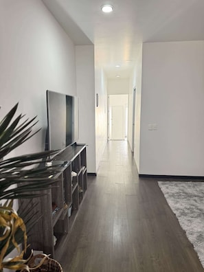 A hallway with a flat-screen TV on a wooden console, a grey rug, and a plant. - Totalmente equipado, Zona Providencia, Apartment (Guadalajara)